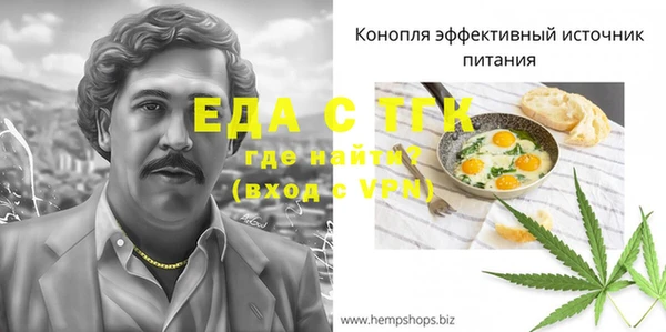 гидра Богородицк