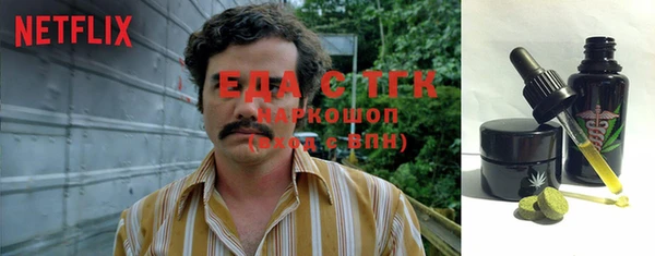 гидра Богородицк