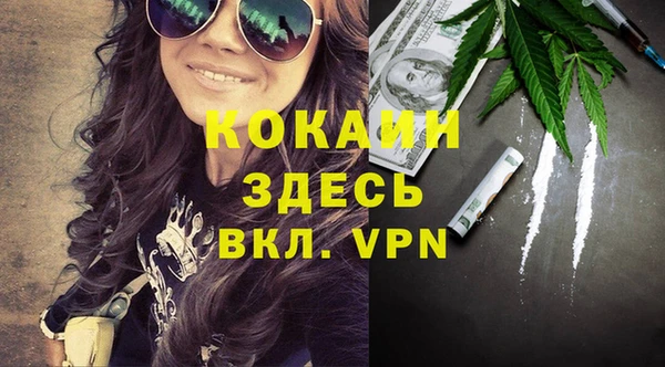 стаф Богородск