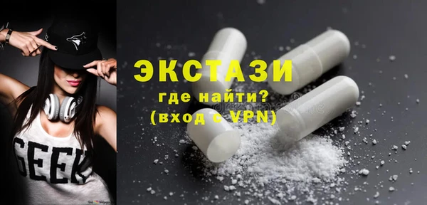 гидра Богородицк