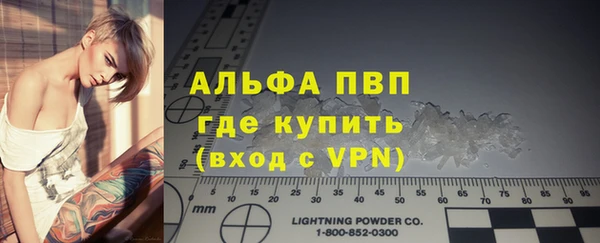 гидра Богородицк