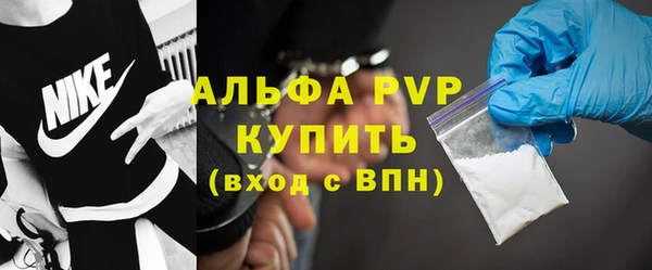 гидра Богородицк