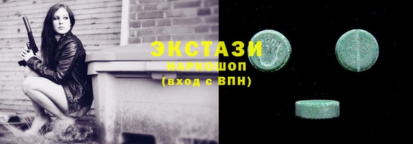 гидра Богородицк