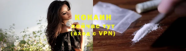 гидра Богородицк