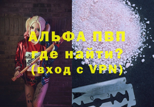 гидра Богородицк