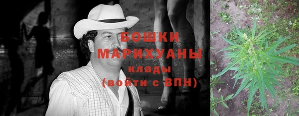 гидра Богородицк