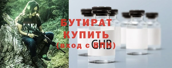 гидра Богородицк