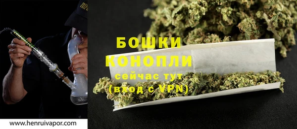 стаф Богородск
