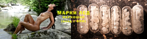 гидра Богородицк